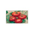 Doğal Brandywine Red Domates Tohumu(20 adet)