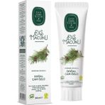 Doğal Diş Macunu 90 gr Çam Özlü