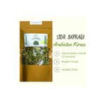 doğal efendi şifalı bitkiler-baharat-kuruyemiş 1.kalite Sidr Yaprağı (ARABİSTAN KİRAZI) Orjinal Marka Tescilli Ürün 25 Gr. Sidre Mağrib Mağrib