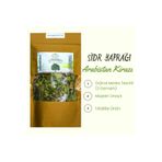 doğal efendi şifalı bitkiler-baharat-kuruyemiş Orjinal Marka Tescilli 1.kalite Sidr Yaprağı (arabistan Kirazı ) 15 Gr.