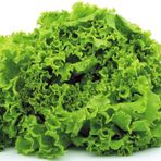 Doğal Geleneksel Arapsaçı Kıvırcık Marul Tohumu (100 Tohum)
