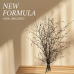 Doğal Gürgen Dekor Dalı (Natural Renk) – 60/80 cm Rustik El Bağlaması Demet - Ahşap