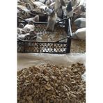 Doğal Güvercin Gübresi 3 kg
