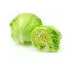 Dogal Iceberg Marul Tohumu (1 Gram)