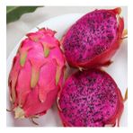 Doğal İçi Kırmızı Ejder Meyvesi(Pitaya) Tohumu 5 adet