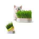 Doğal Kedi Çimi, Tüy Yumağı Önleyici Plastik Kâse İle