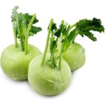 Doğal Kohlrabi Yer Lahanası Cehennem Topuzu Yeşil Alabaş Turpu 100 Adet Tohum