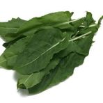 Doğal Kuzu Kulağı Tohumu(50 tohum)