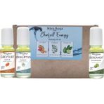 Doğal Roll on, Enerji Seti, Greyfurt, Bergamot, Okaliptus Uçucu Yağı, 10ml x 3