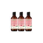 Doğal Şampuan Renk Koruyucu & Canlandırıcı 400 ml x 3 Adet