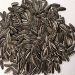 Doğal Siyah Çerezlik Çitlemelik Ayçiçeği Çekirdek Tohumu 1 Kg