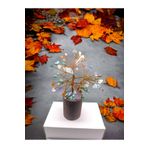 DOĞAL TAŞ CENNETİ ÇAKRA DOĞAL TAŞ AĞAÇ (SERTİFİKALI)(15 CM) TYCVE4W6MN169558957402015