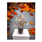 DOĞAL TAŞ CENNETİ ÇAKRA DOĞAL TAŞ AĞAÇ (SERTİFİKALI)(15 CM)