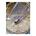 DOĞAL TAŞ DELİSİ 5 Adet Kaplangözü Doğal Taş Boncuk (8 Mm) (sertifikalı) 5KPLNG-B