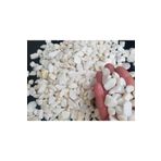 Doğalsan Tarım Beyaz Taş 5 Kg 1-2 Cm Beyaz Dolomit Taş Dere Taşı Çakıl Taşı Bahçe Süs Taşı Akvaryum Teraryum Taşı