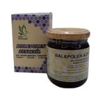 Doğan 230 gr Bal Polen Zencefil Karışımı