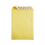 Doğan 260x350 mm 100 gr Express Formula 25'li Torba Zarf