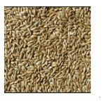 Doğan Akvaryum Kanarya Yemi Aspur Sade 5 kg