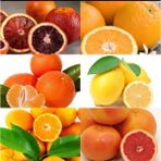 Doğan Fidancılık 6'lı Fidan Kan Portakal,w. Murcott,limon, Portakal,satsuma Mandalina,greyfurt 4 Yaşında 120-150 cm