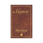 Doğan Kitap Mesnevi + Lacan Neden Budist Değil? + Dakikalar Içinde Felsefe: Anında Açıklanan 200 Temel Kavram + Lakhes - Lysis