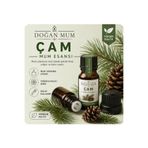 DOĞAN MUM Mum esansı çam kokusu premium çam esans