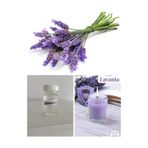 DOĞAN MUM Mum esansı lavanta kokusu 10 ml