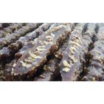 Doğan Pestil Köme Pikolalı Köme - 1 kg
