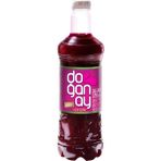 Doğanay Acısız Şalgam Suyu (1 L) X8 Adet