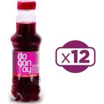 Doğanay Şalgam Suyu 300 ml Acılı x 12 Adet