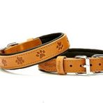 Doggie Comfort Camel 2.5x37-45 cm Medium Deri Pati Desenli Köpek Boyun Tasması