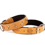 Doggie Comfort Camel 3.5X52-60 cm Large Deri Kemik Süslü Köpek Boyun Tasması