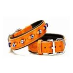 Doggie Comfort Nazar Boncuklu Camel 2.5x50 cm Köpek Tasması