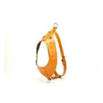 Doggie Gladyatör Camel XL Boy Köpek Göğüs Tasması