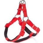 Doggie Konforlu Dokumadan El Yapımı Ronin Model Kırmızı 2x55-65 cm Köpek Göğüs Tasması