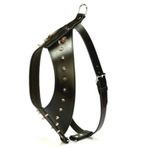 Doggie Konforlu El Yapımı Gladyatör Model Siyah 2x65-70 cm Köpek Göğüs Tasması