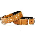 Doggie Konforlu El Yapımı Kamel 4x47-55 cm Köpek Boyun Tasması