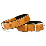 Doggie Medium Camel 3.5x47 55 cm Comfort Deri Pati Desenli Köpek Boyun Tasması