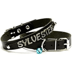 Doggie Siyah 1.2x25-29 cm Kedi Ve Yavru Köpek İsimlikli Deri Boyun Tasması