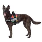 Doggie Stylz EVCİL HAYVAN DEĞİL Köpek Yelek Koşum Çıkarılabilir Yamalar ve Yansıtıcı Süslemeli. 2 DO NOT PET Yansıtıcı Çıkarılabilir Yamalar ile birlikte gelir. Lütfen Satın Almadan Önce Köpeklerin Çevresini Ölçün