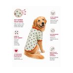 DOGİ&DOG Büyük Irk Green Sweat Bear Yazlık Köpek T-Shirt Köpek Kıyafeti (11-45KG)
