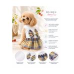 DOGİ&DOG Küçük Irk Sarı Kolej Mini Köpek Elbisesi Kedi Elbisesi Kedi Kıyafeti (1-10KG)
