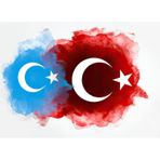 Doğu Türkistan Ve Türk Bayrağı Sticker Yapıştırma 19 Cm