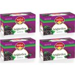 Doğuş Böğürtlen Çayı 20'li x 4 Paket Filtre Tipi Bitki Çayı Sağlıklı ve Ferahlatıcı İçecek