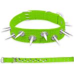 Dokuma Çivili Köpek Boyun Tasması - 5*80 Cm - Yeşil