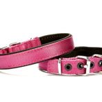 Dokuma Softlu Köpek Boyun Tasması 2 cm x 45 cm Mor