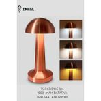 Dokunmatik Şarjlı Masa Lambası-3 Işık Renkli, Dimlenebilir, Type-C Girişli, 1800 Mah Bataryalı - Bronz