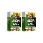 Dola Atom Çayı Nane Limon 2'li - French Press
