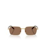 Dolce & Gabbana Erkek Güneş Gözlüğü 0DG23165602/73