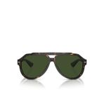 Dolce & Gabbana Erkek Güneş Gözlüğü 0DG445260502/71