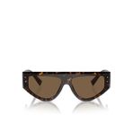 Dolce & Gabbana Erkek Güneş Gözlüğü 0DG446157502/73